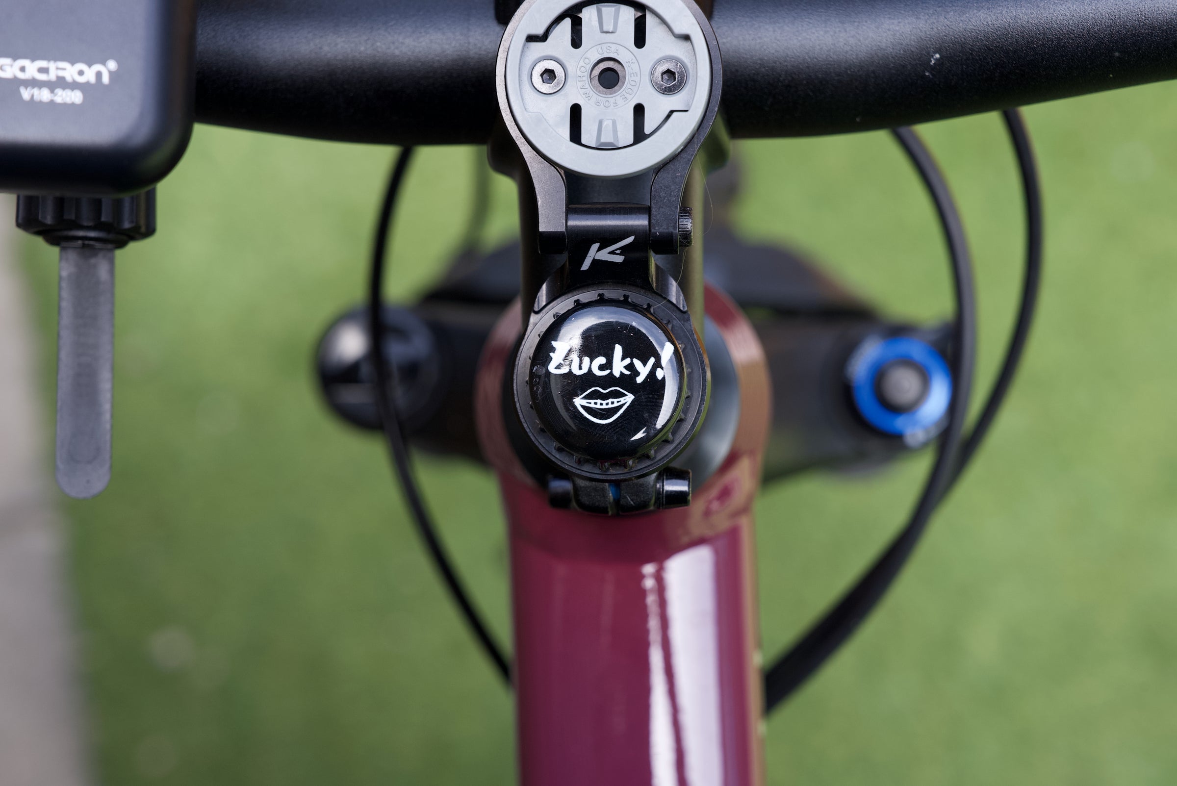 Zucky! Beer cap | Zucky!